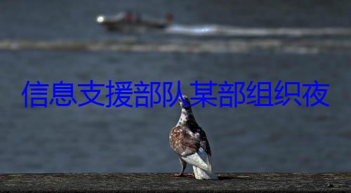 练图队某部组织信息支援部夜间修理训